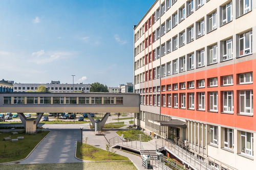 乐鱼体育官网优惠-中国篮球联赛裁判员技术培训体系建设,篮球裁判员培训班
