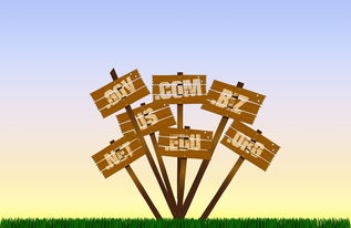 乐鱼体育app-足球产业扶持政策分布区域不均衡,足球产业占体育产业比重