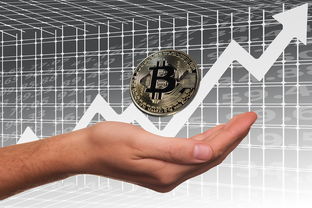 乐鱼体育app网址-英超俱乐部母公司上市路径与股价波动分析,英超俱乐部投入 乐鱼体育app网址-英超俱乐部母公司上市路径与股价波动分析,英超俱乐部投入