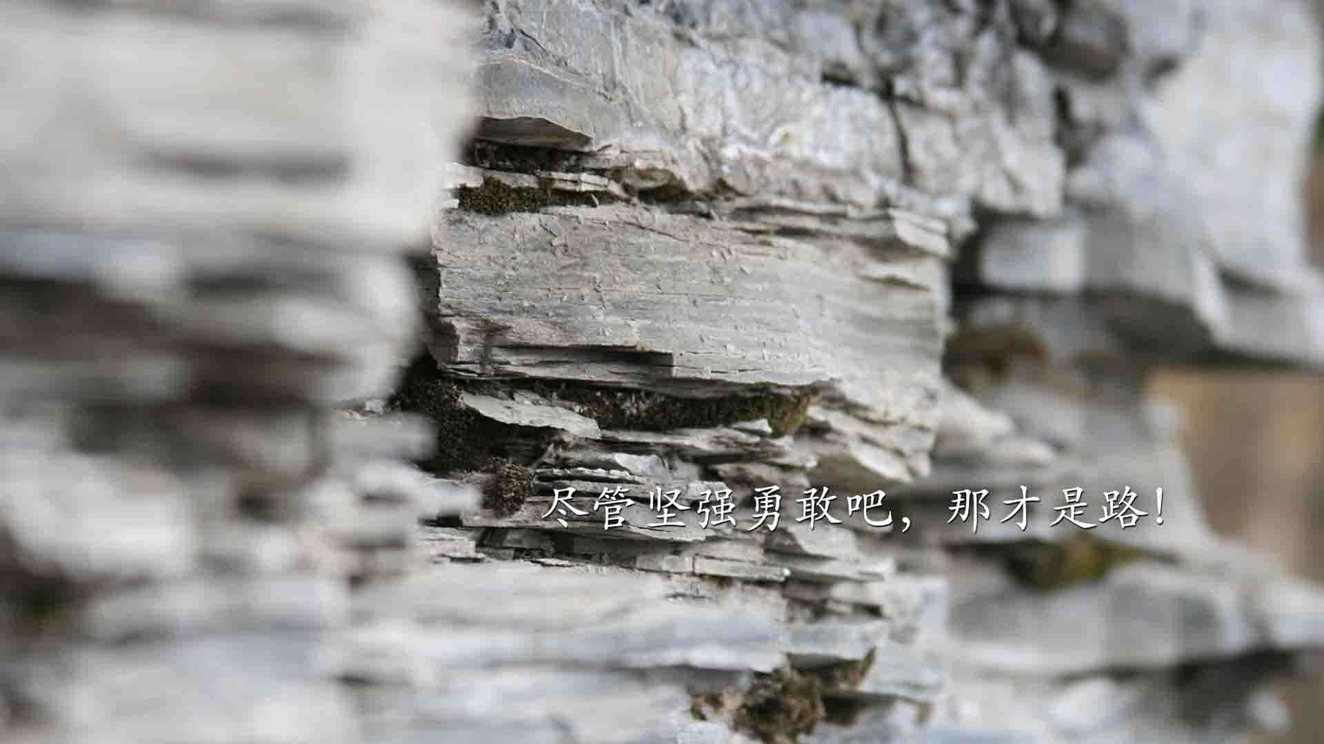 乐鱼体育地址-中小学体育美育融合课程试点扩展至百所学校，中小学体育美育教育教学工作