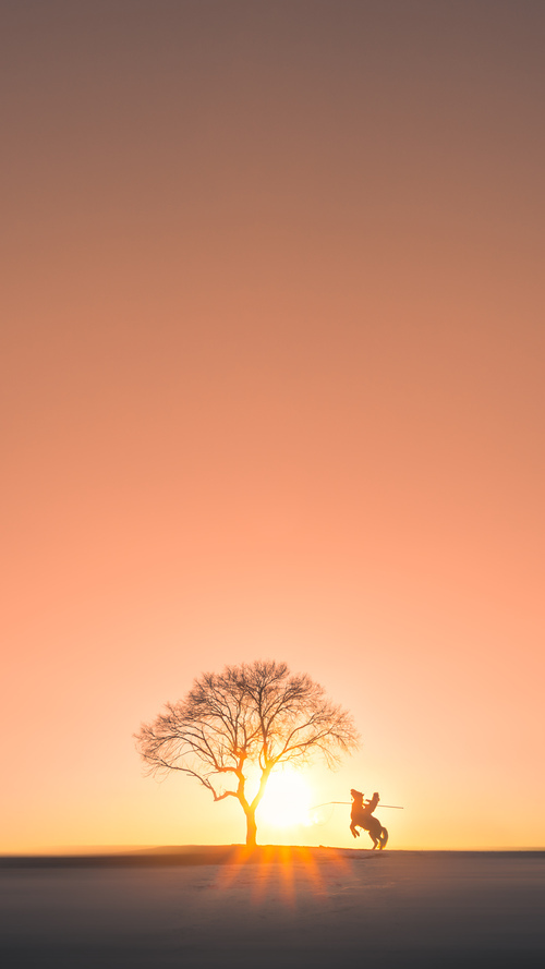 乐鱼体育官网下载-冠军选手冲刺阶段划频分析，冲击冠军走向巅峰