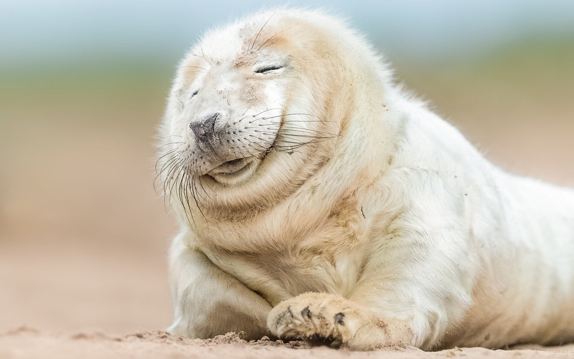 乐鱼体育官网-加拿大队在国际乒联混合团体世界杯中的比赛经验与成长，加拿大乒乓球挑战赛