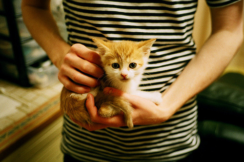 乐鱼app-外援投入产出比长期失衡影响投入信心，投入产出比例失衡