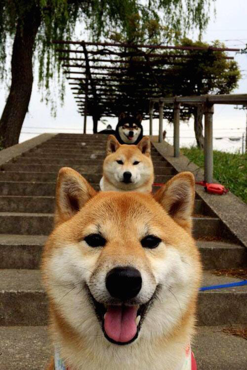 乐鱼app-CBA薪资体系改革促使球队理性引援与支出控制，cba球员薪资表